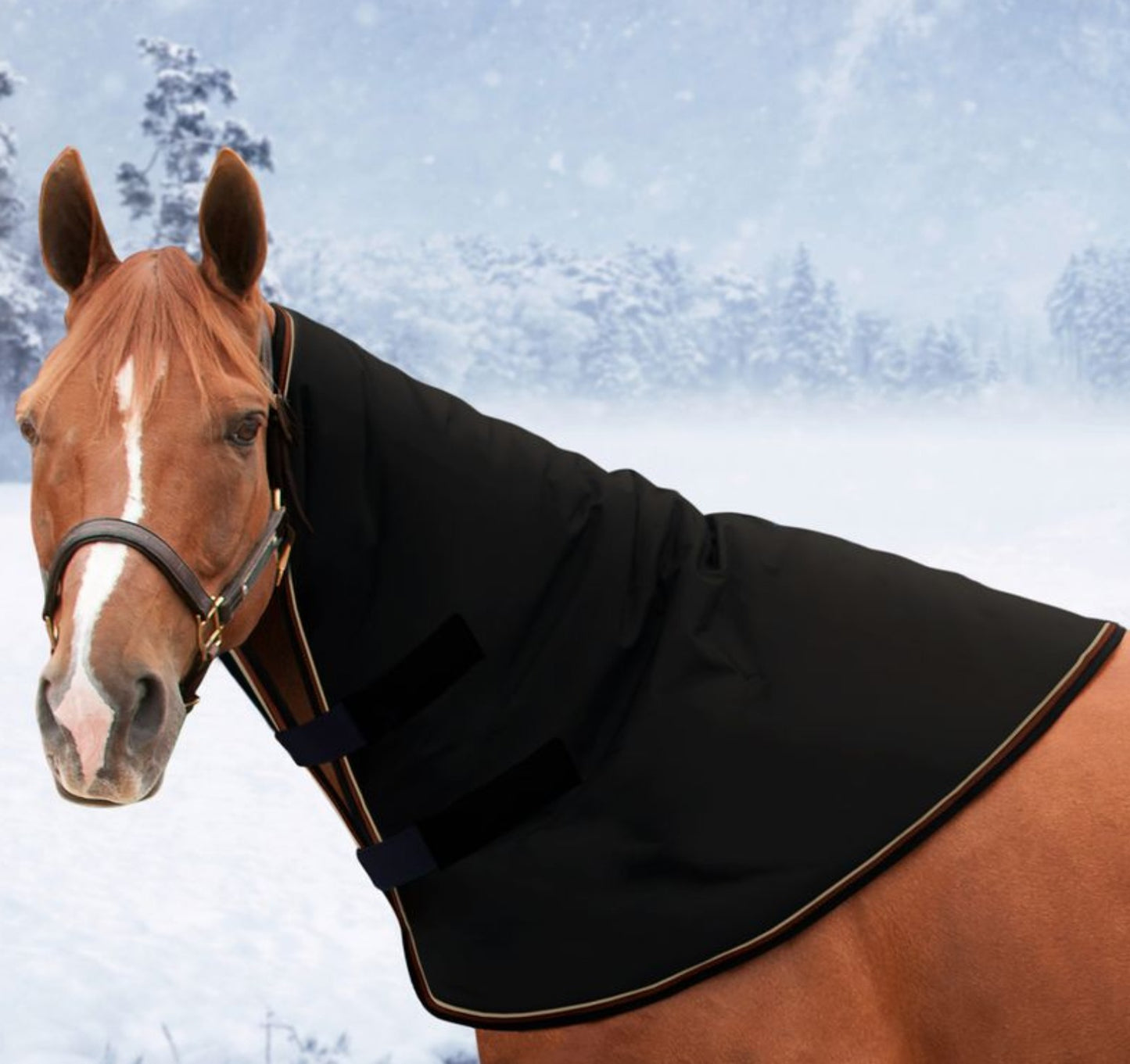 Kensington Signature  Horse Neck Warmer