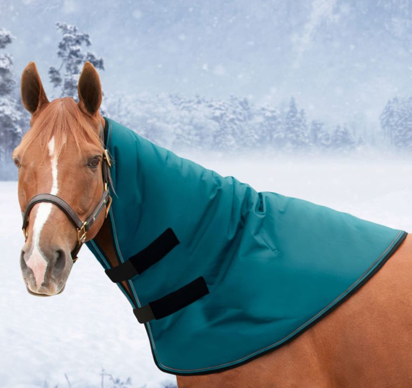 Kensington Signature  Horse Neck Warmer