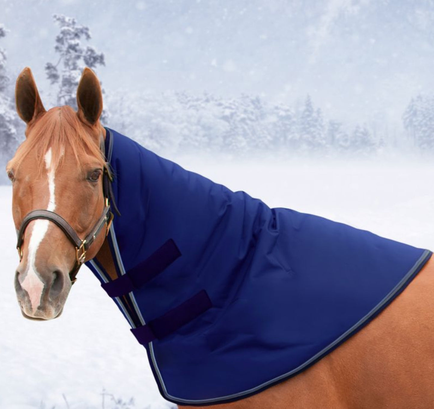 Kensington Signature  Horse Neck Warmer