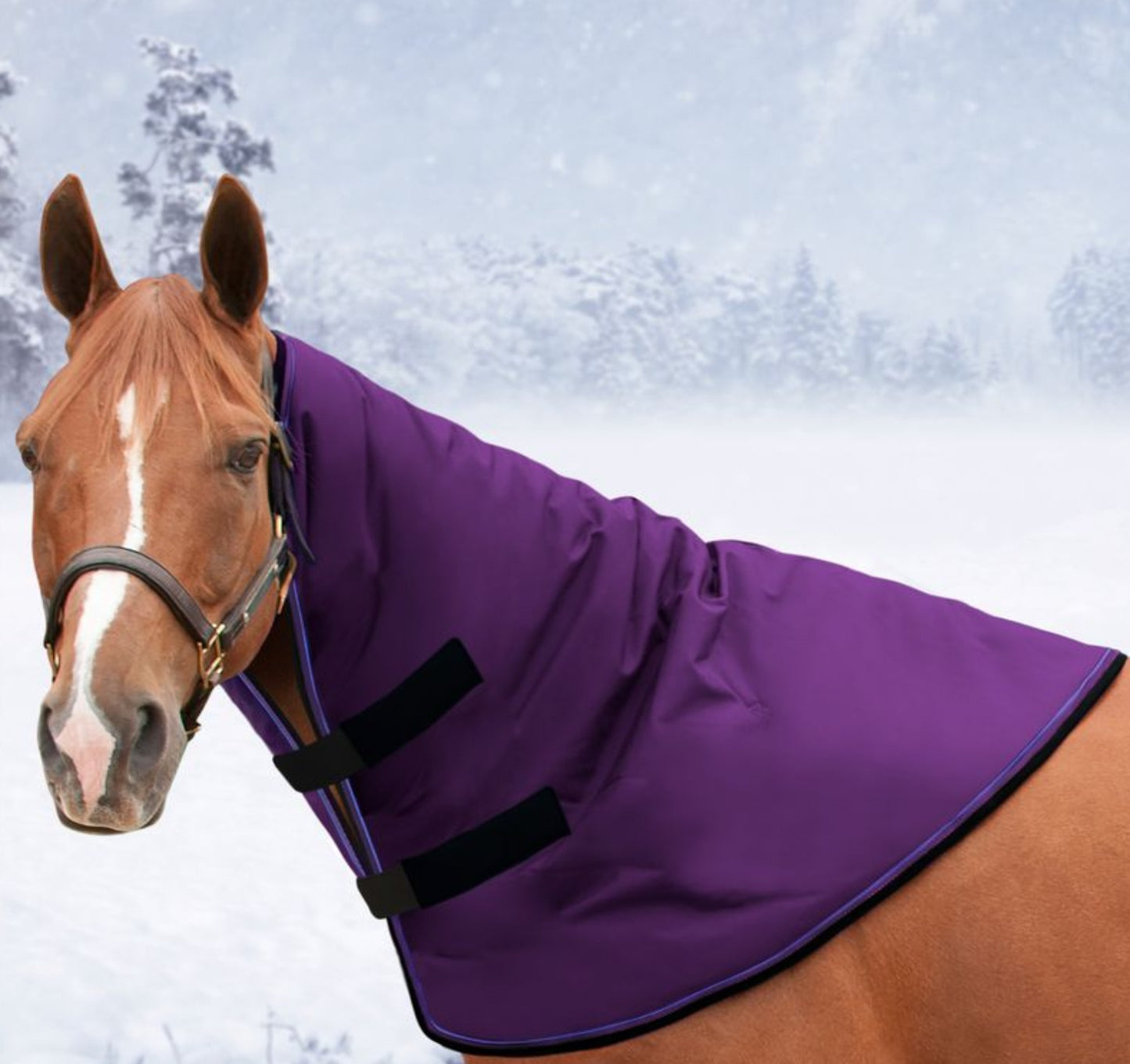 Kensington Signature  Horse Neck Warmer