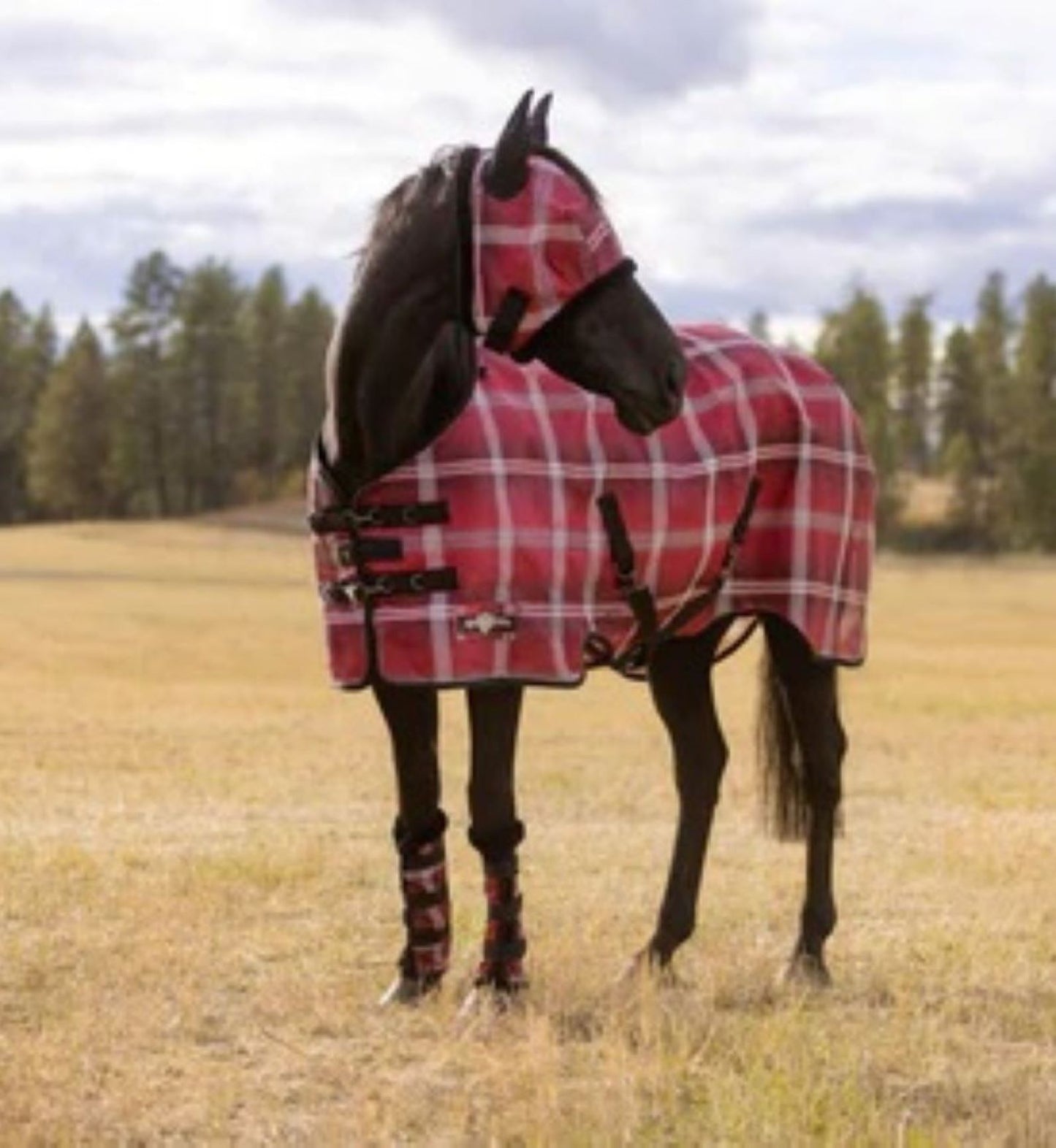 Fly Protective Sheet SureFit® Pony by Kensington