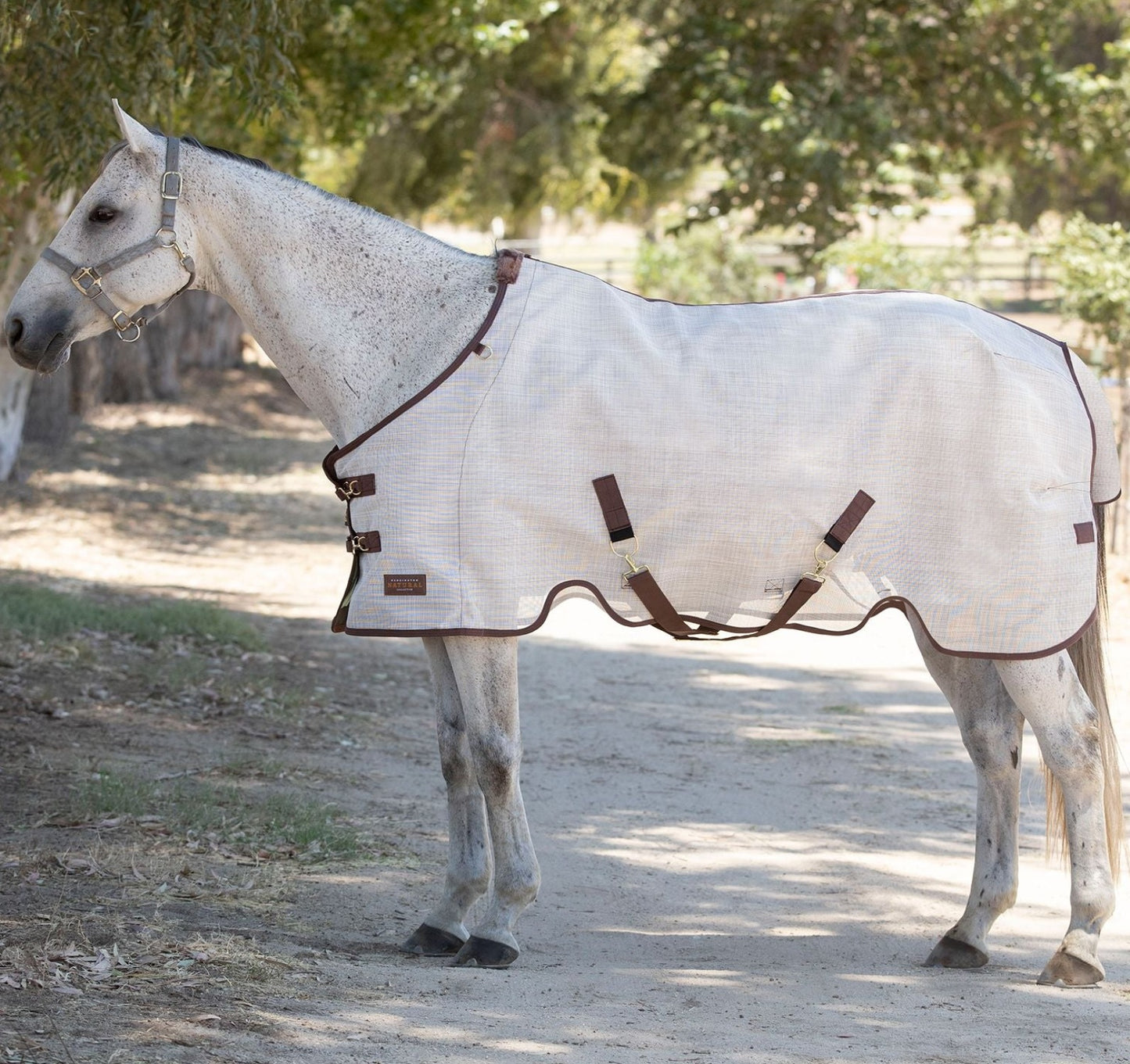 Fly Protective Sheet SureFit® Pony by Kensington