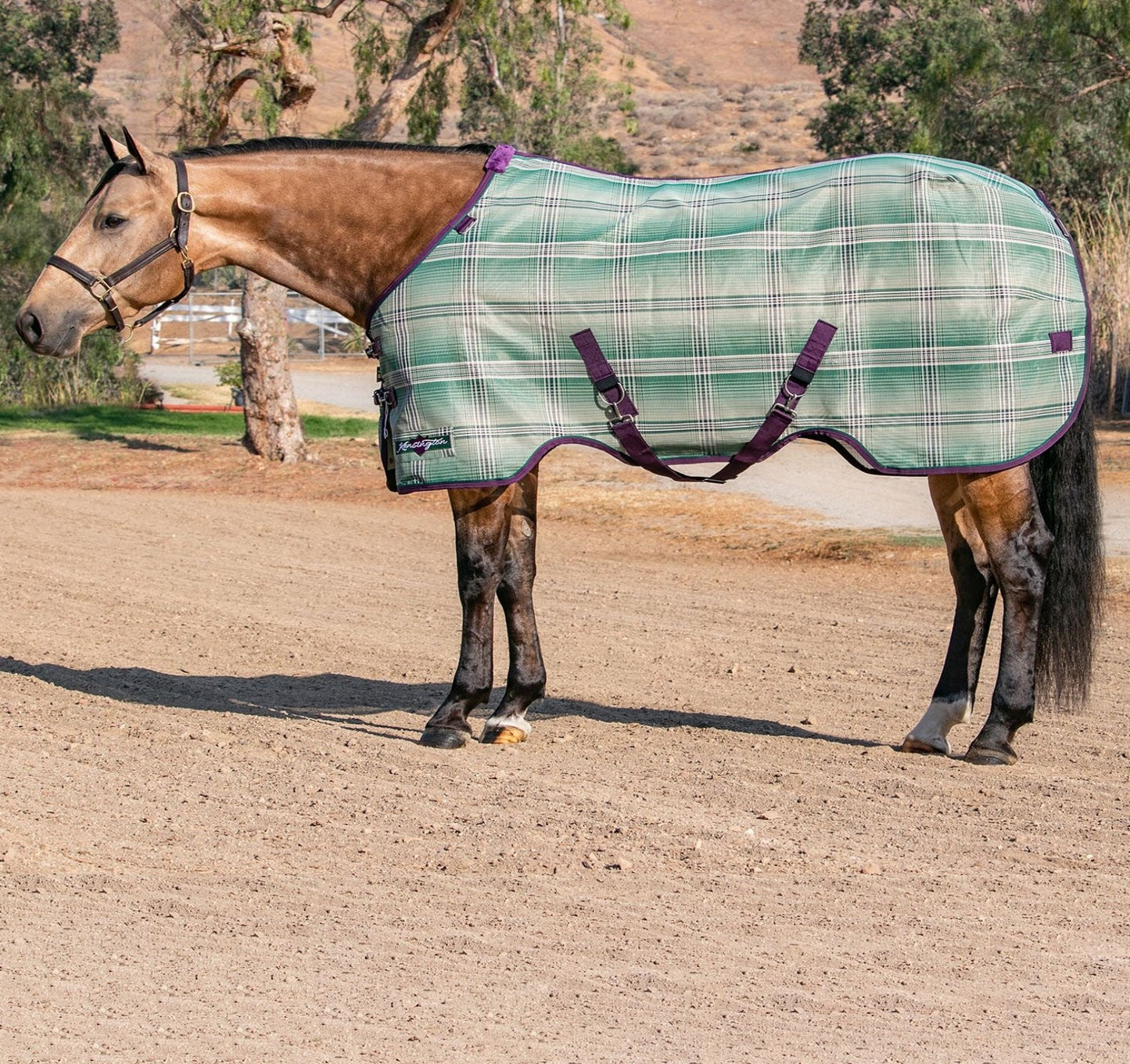 Fly Protective Sheet SureFit® Pony by Kensington