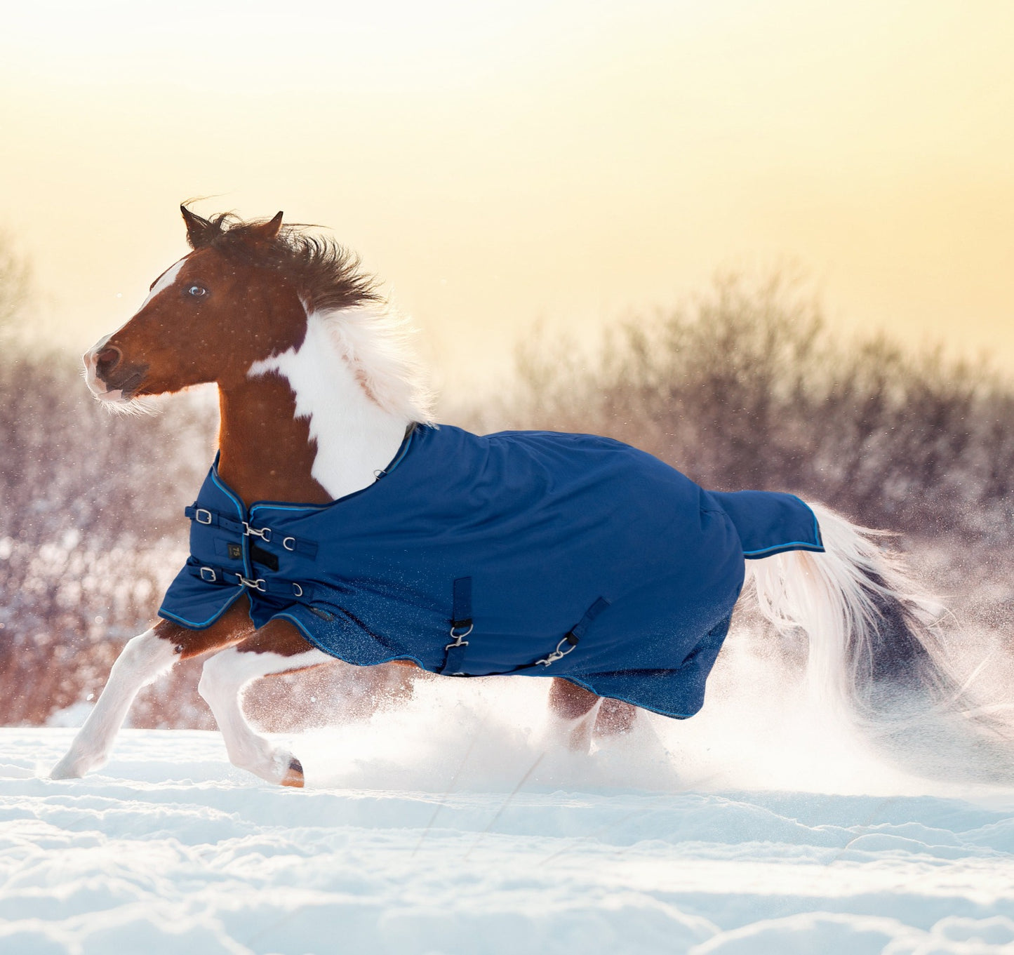 Kensington Signature Pony Turnout