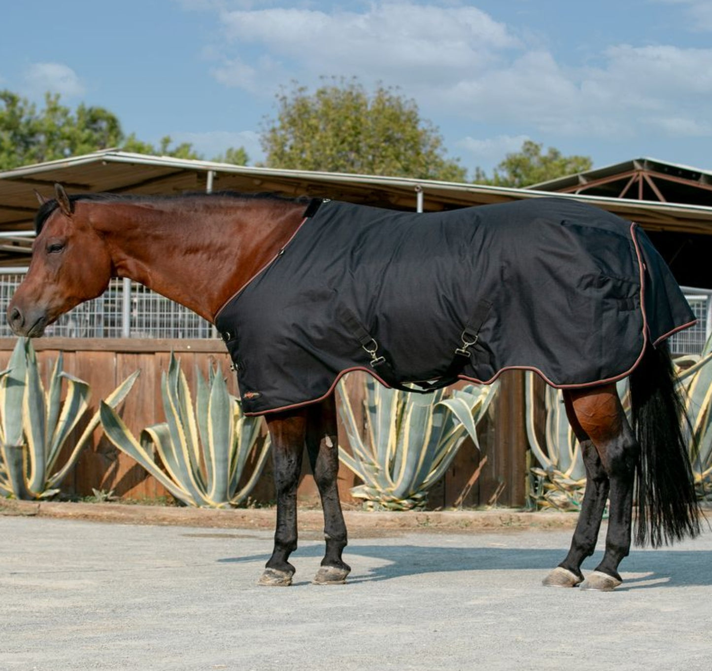 Kensington Signature Horse Mediumweight Horse Turnout