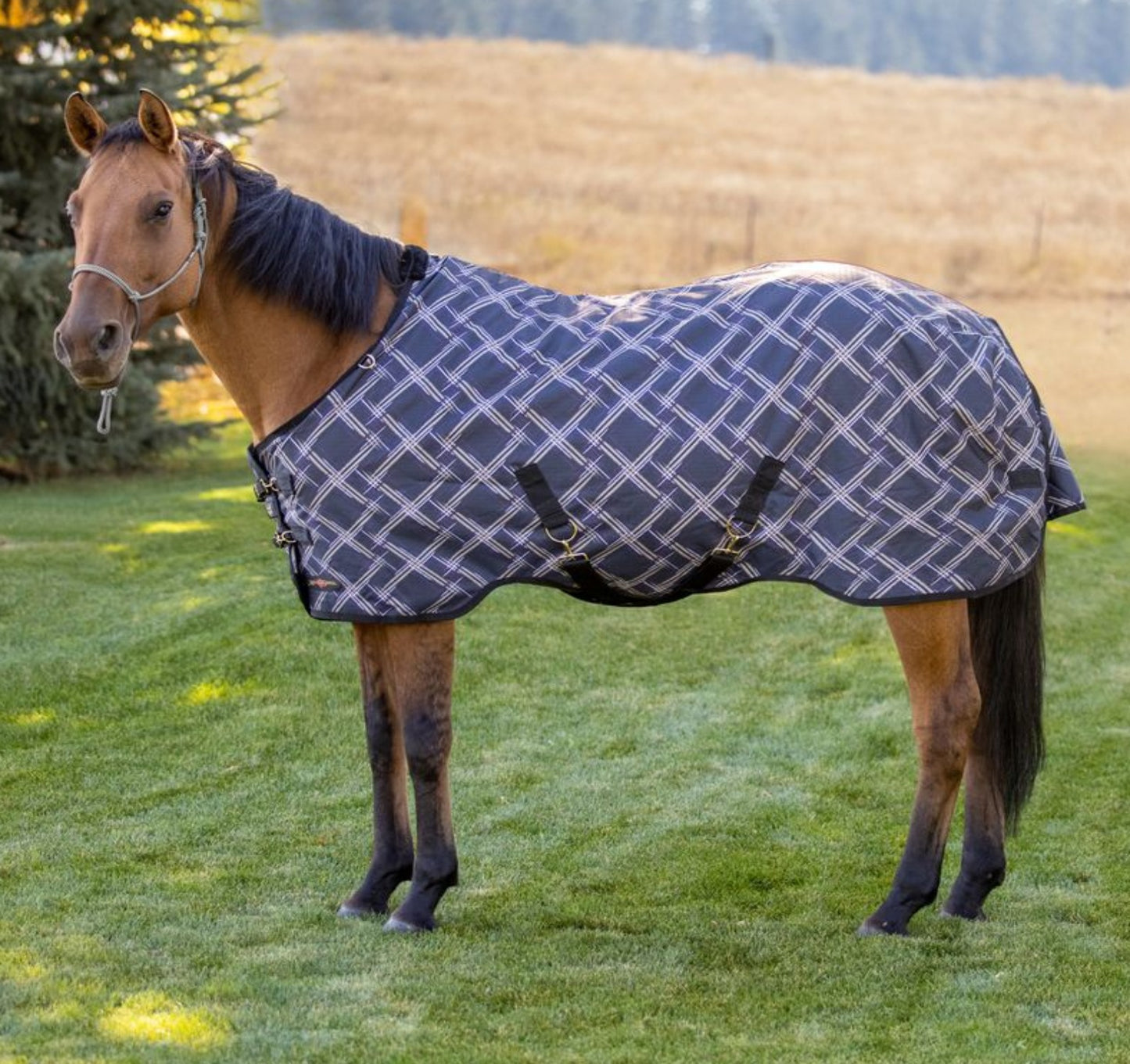 Kensington Signature Horse Lightweight Horse Turnout