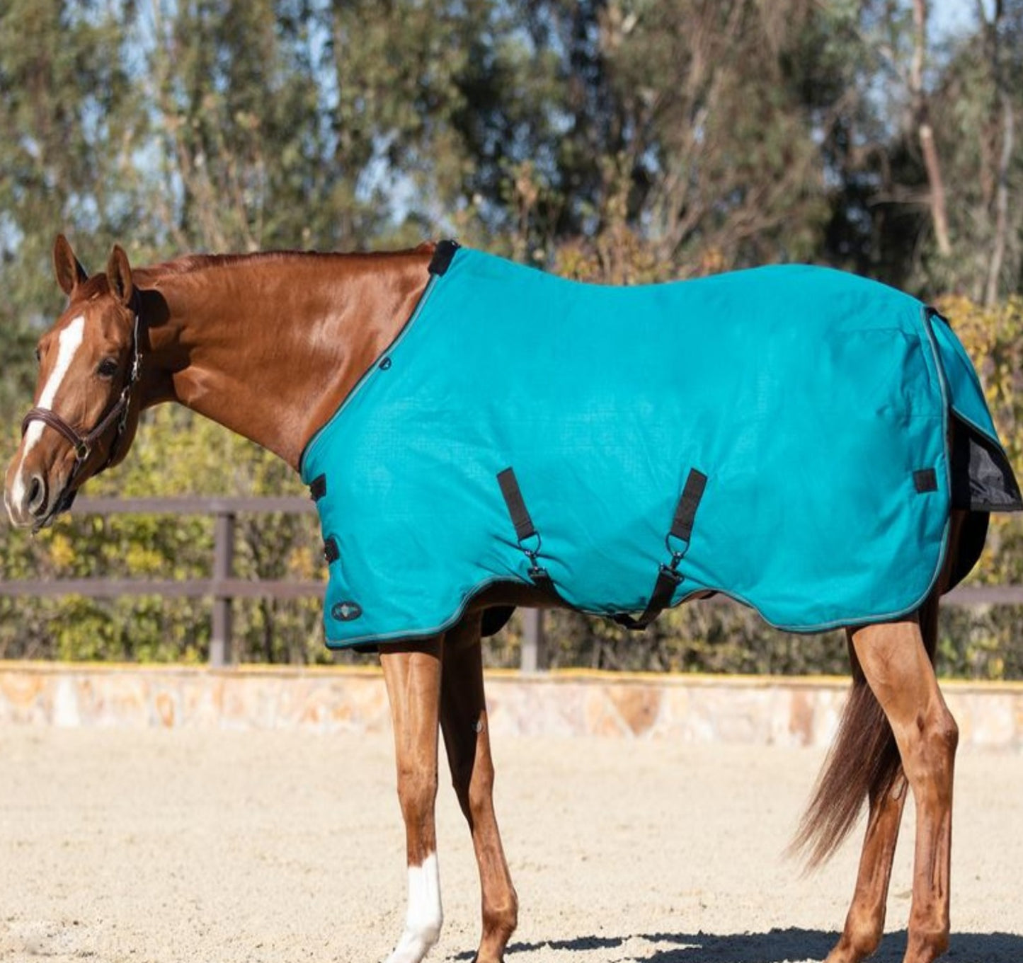 Kensington Signature Horse Mediumweight Horse Turnout