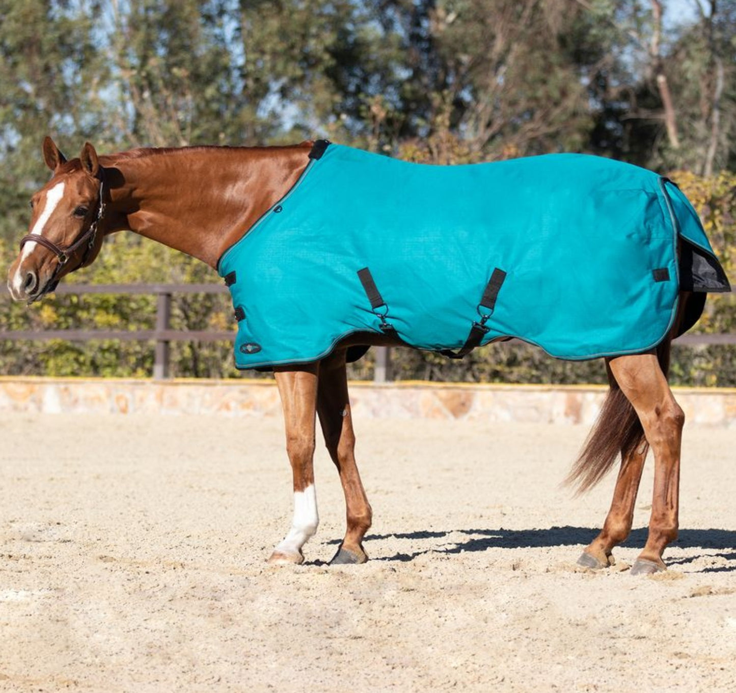 Kensington Signature Horse Lightweight Horse Turnout