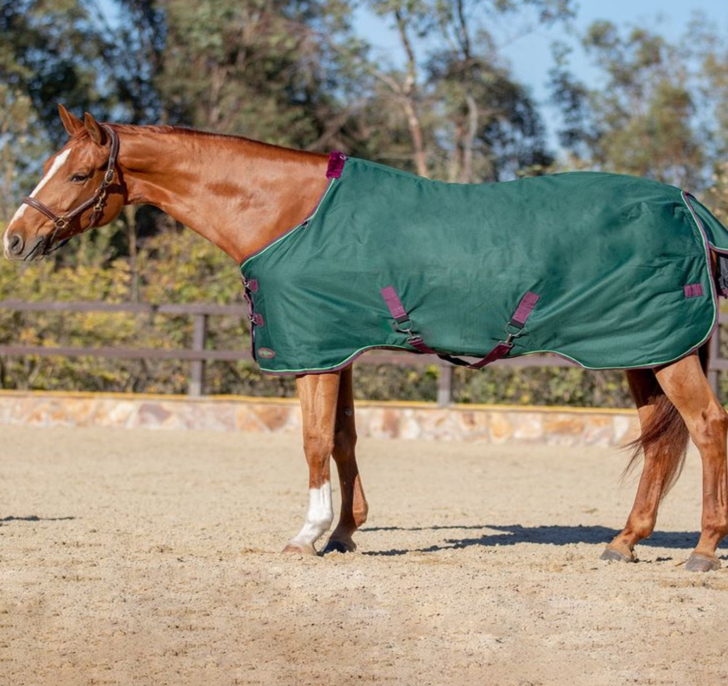 Kensington Signature Horse Mediumweight Horse Turnout