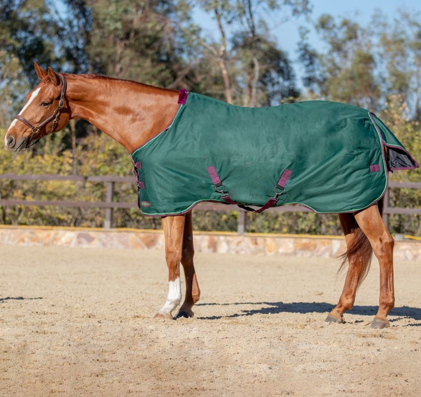 Kensington Signature Horse Lightweight Horse Turnout