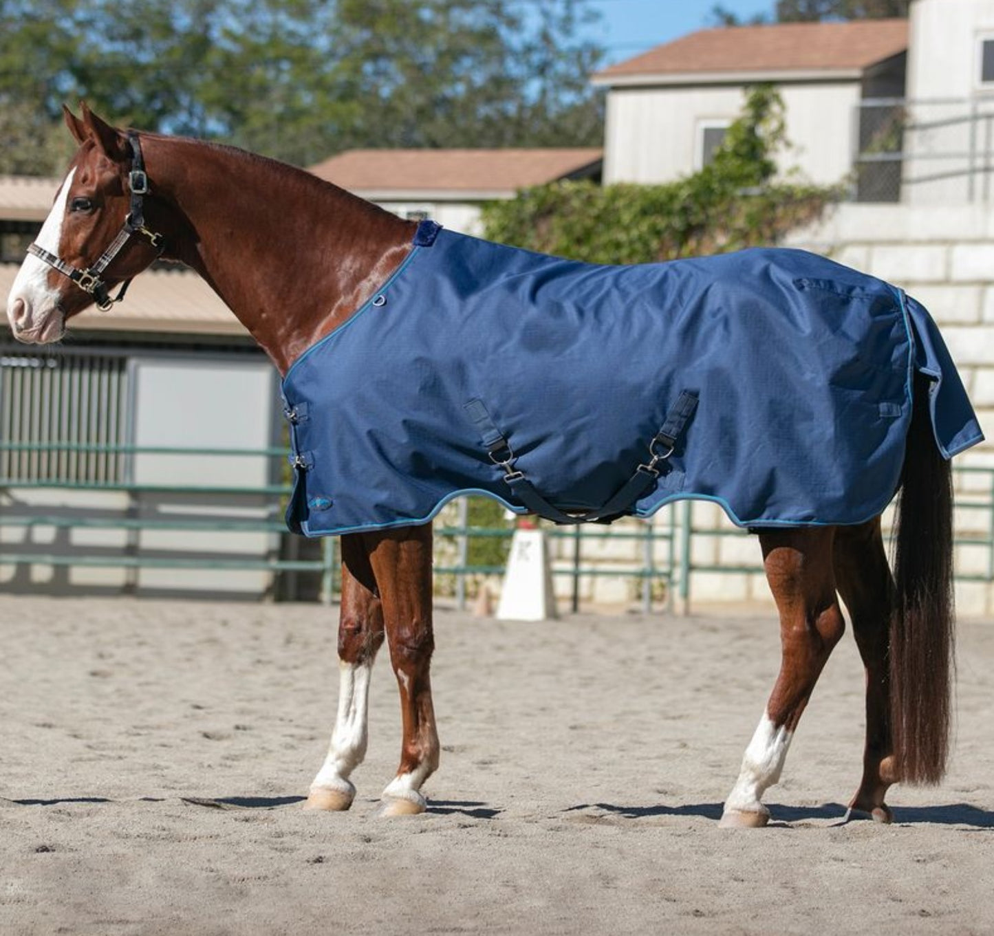 Kensington Signature Horse Lightweight Horse Turnout