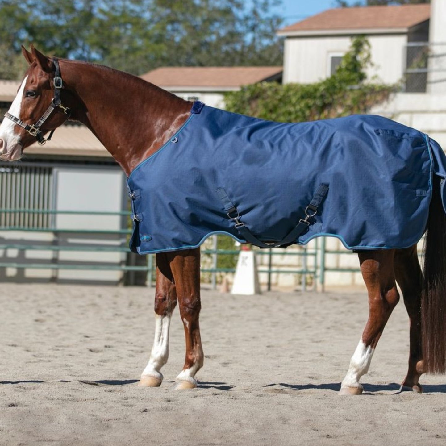 Kensington Signature Horse Mediumweight Horse Turnout