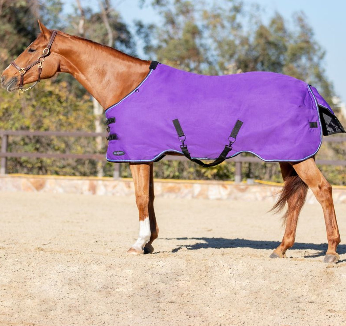 Kensington Signature Horse Lightweight Horse Turnout