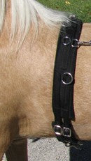 Nylon Training Surcingle for Minis & Ponies