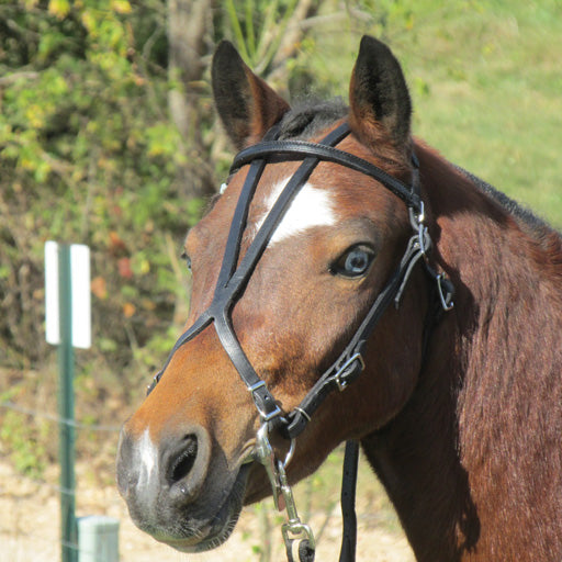 Leather Open Headstall for Minis & Ponies by Mose Miller