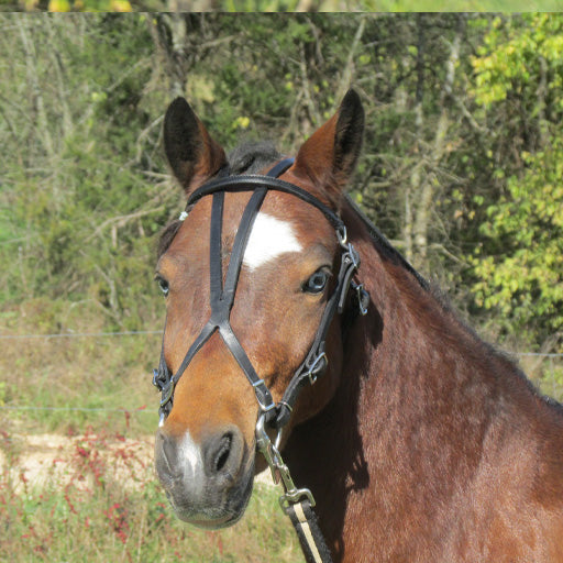 Leather Open Headstall for Minis & Ponies by Mose Miller