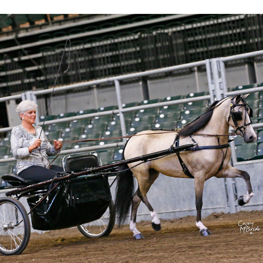 Leather Pony Show Harness with Dual Headstalls by Mose Miller