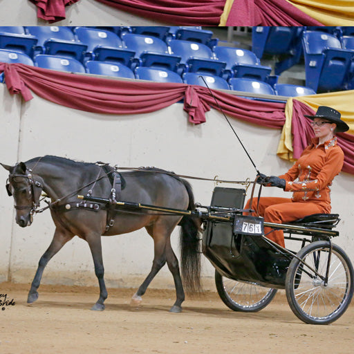 Mose Miller Western Leather Show Harness