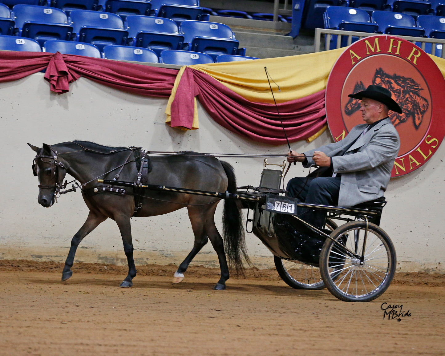 Mose Miller Western Leather Show Harness