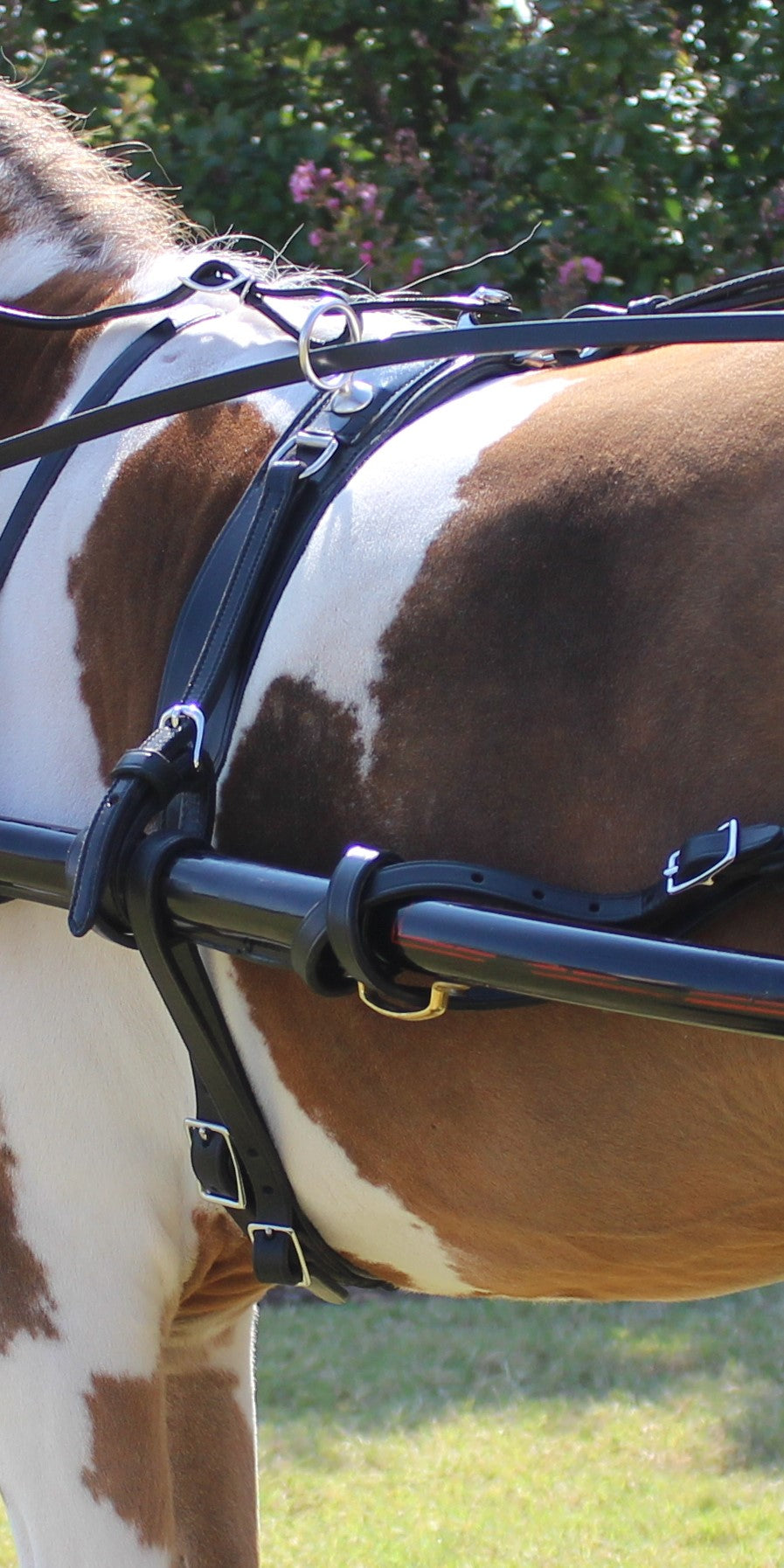 Leather Back Saddle for Minis & Ponies Mose Miller