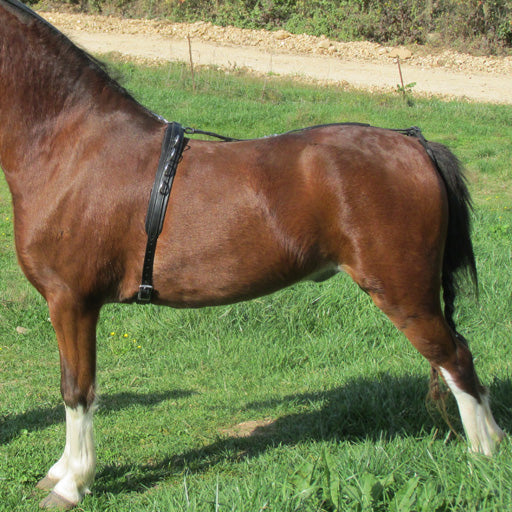 Leather Training Surcingle for Minis & Ponies