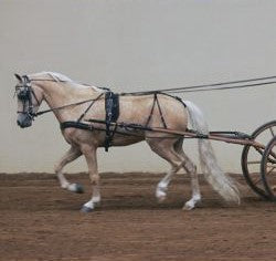 Mose Miller V Carriage Harness