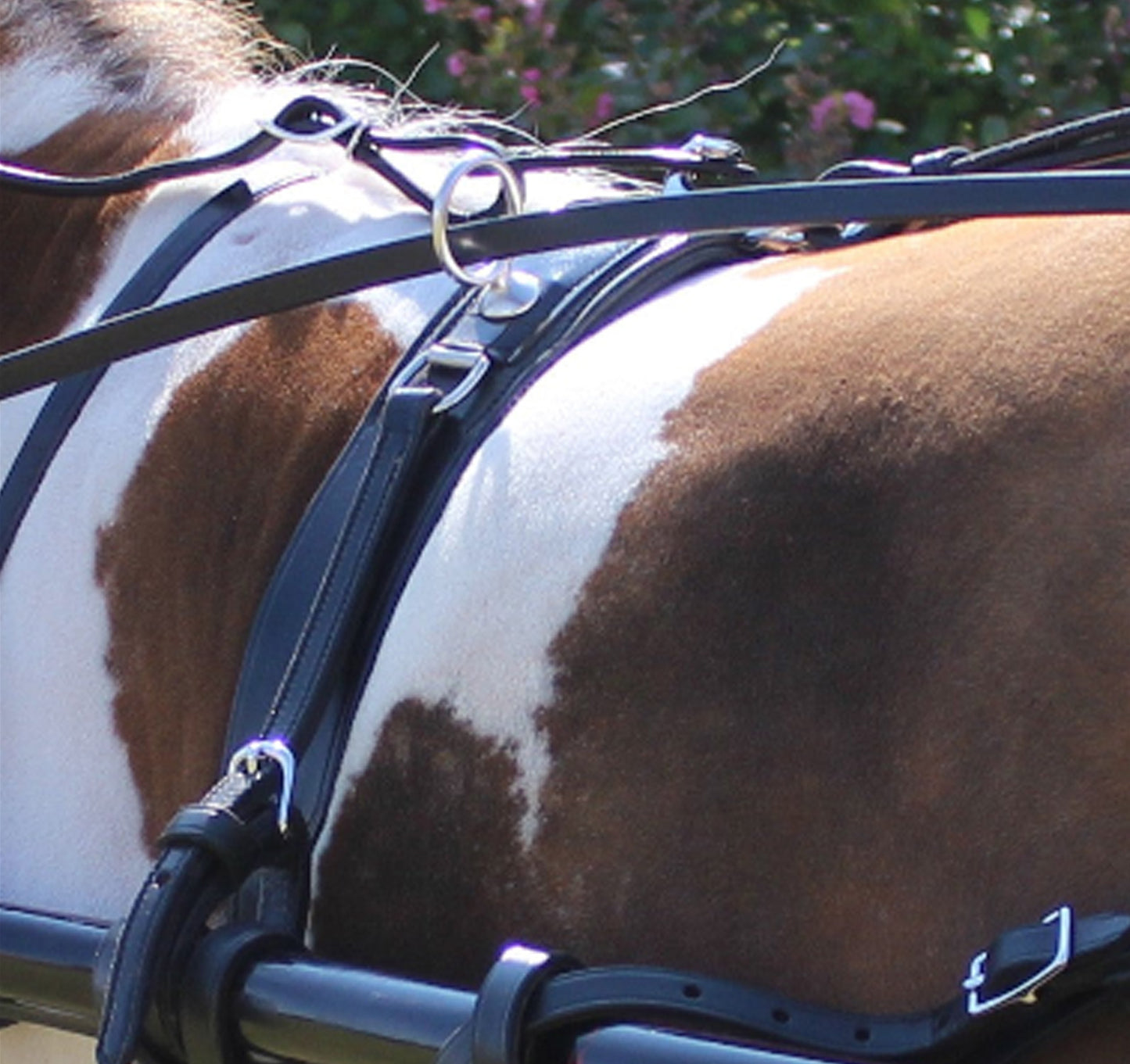 Leather Back Saddle for Minis & Ponies Mose Miller