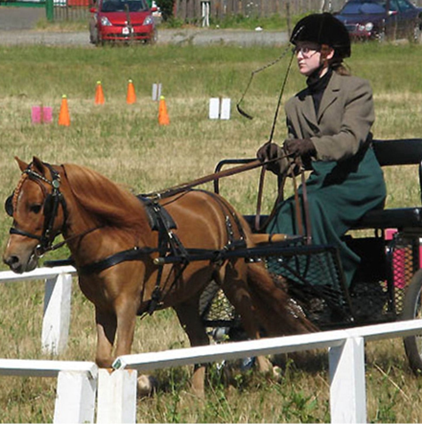 Leather Carriage Harness by Mose Miller