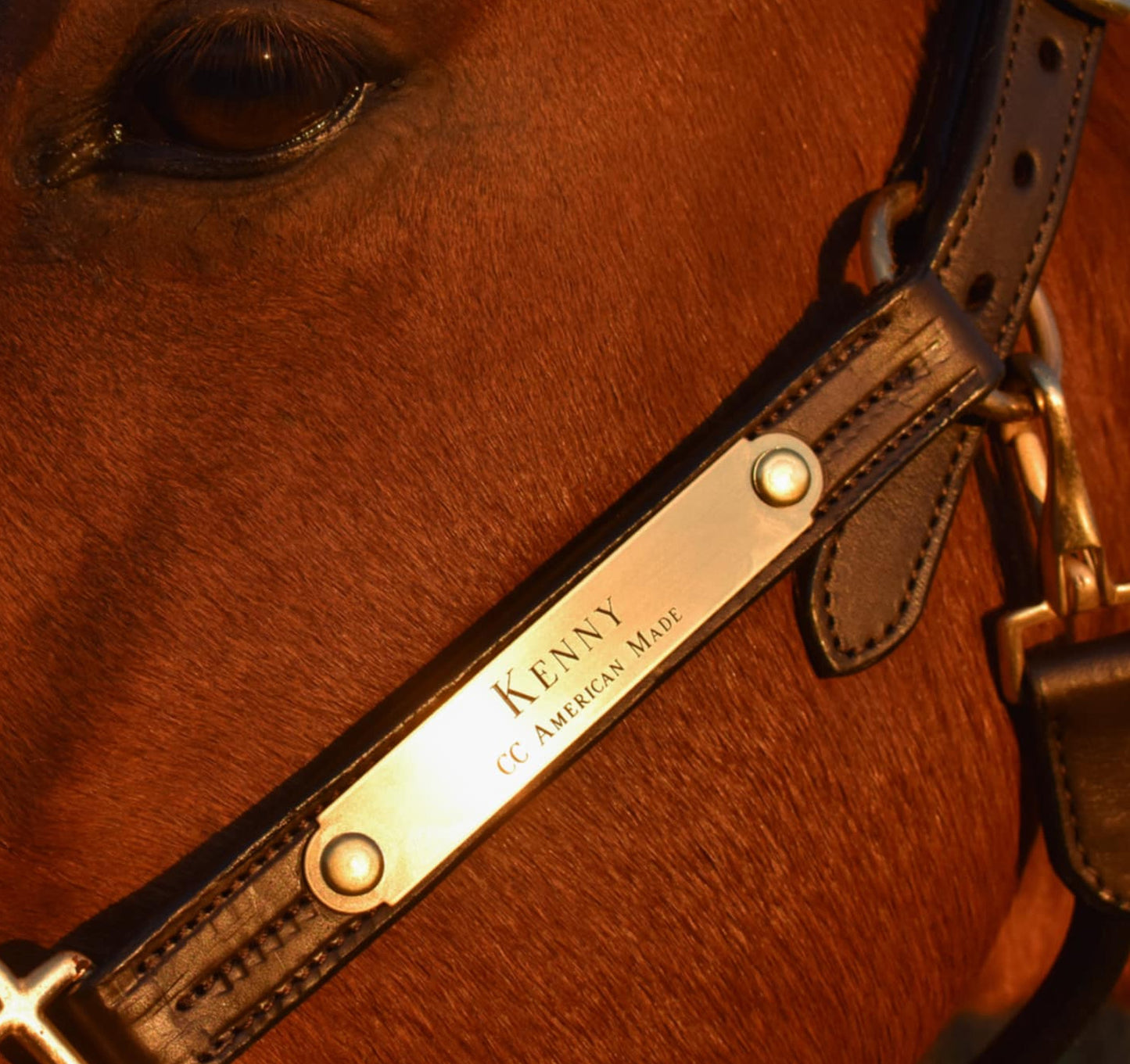 Personalized Triple Leather Horse Halter