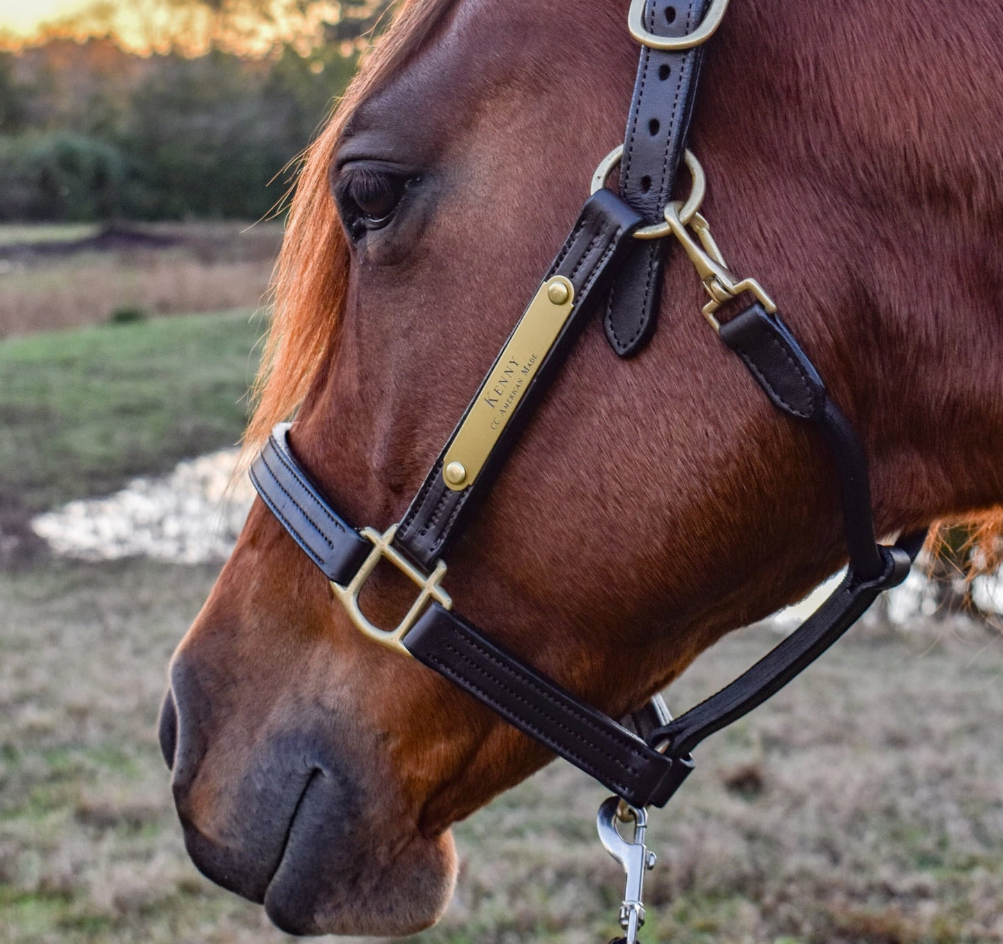 Personalized Triple Leather Horse Halter