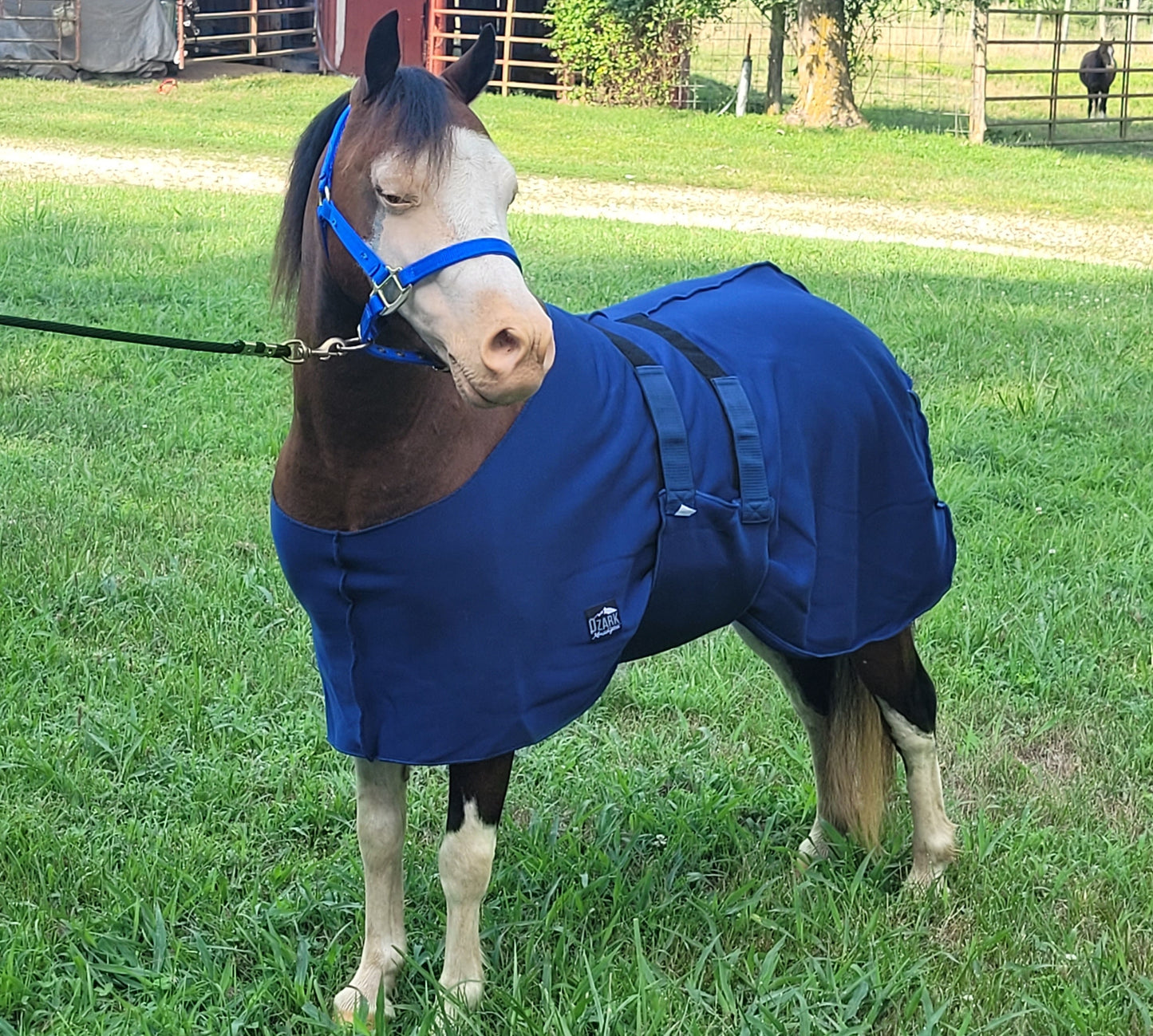 Fleece Liner for Minis