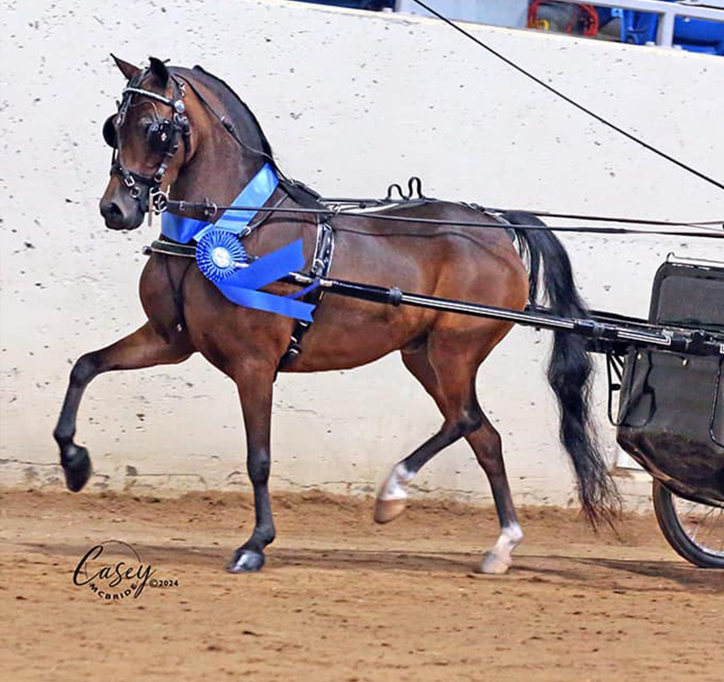 Rolled Leather Fancy Show Harness Miniature and Pony by Mose Miller