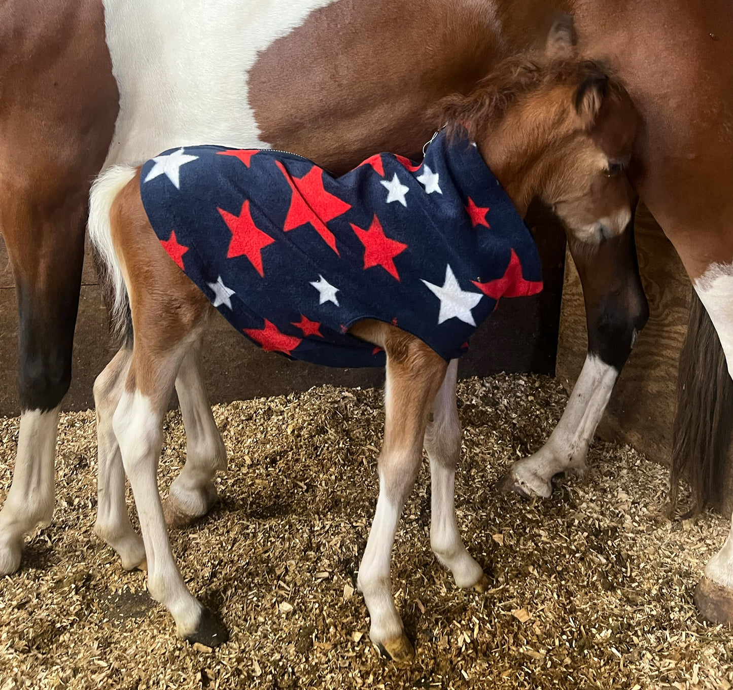 Miniature Foal Print Fleece Jacket