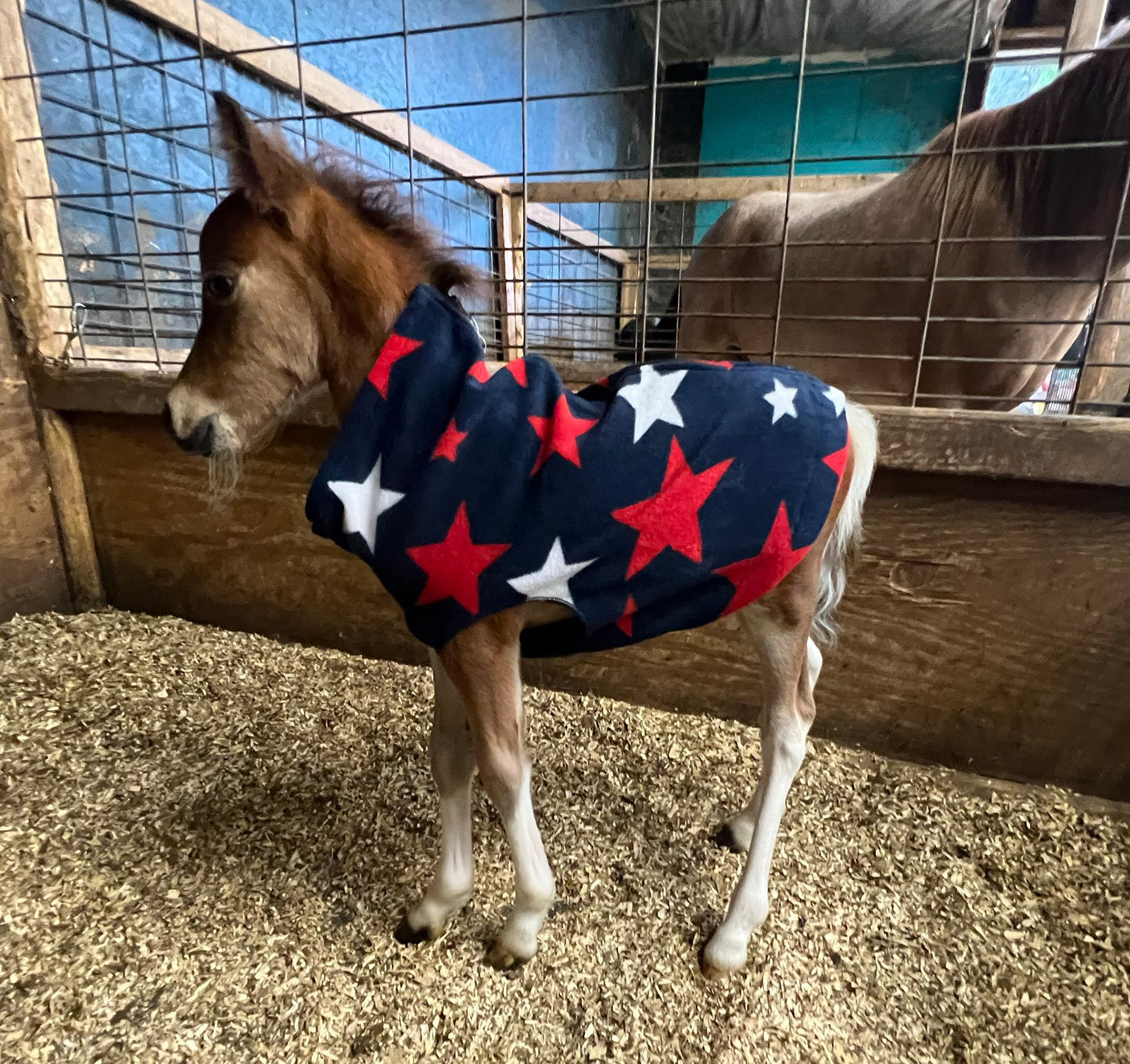 Miniature Foal Print Fleece Jacket