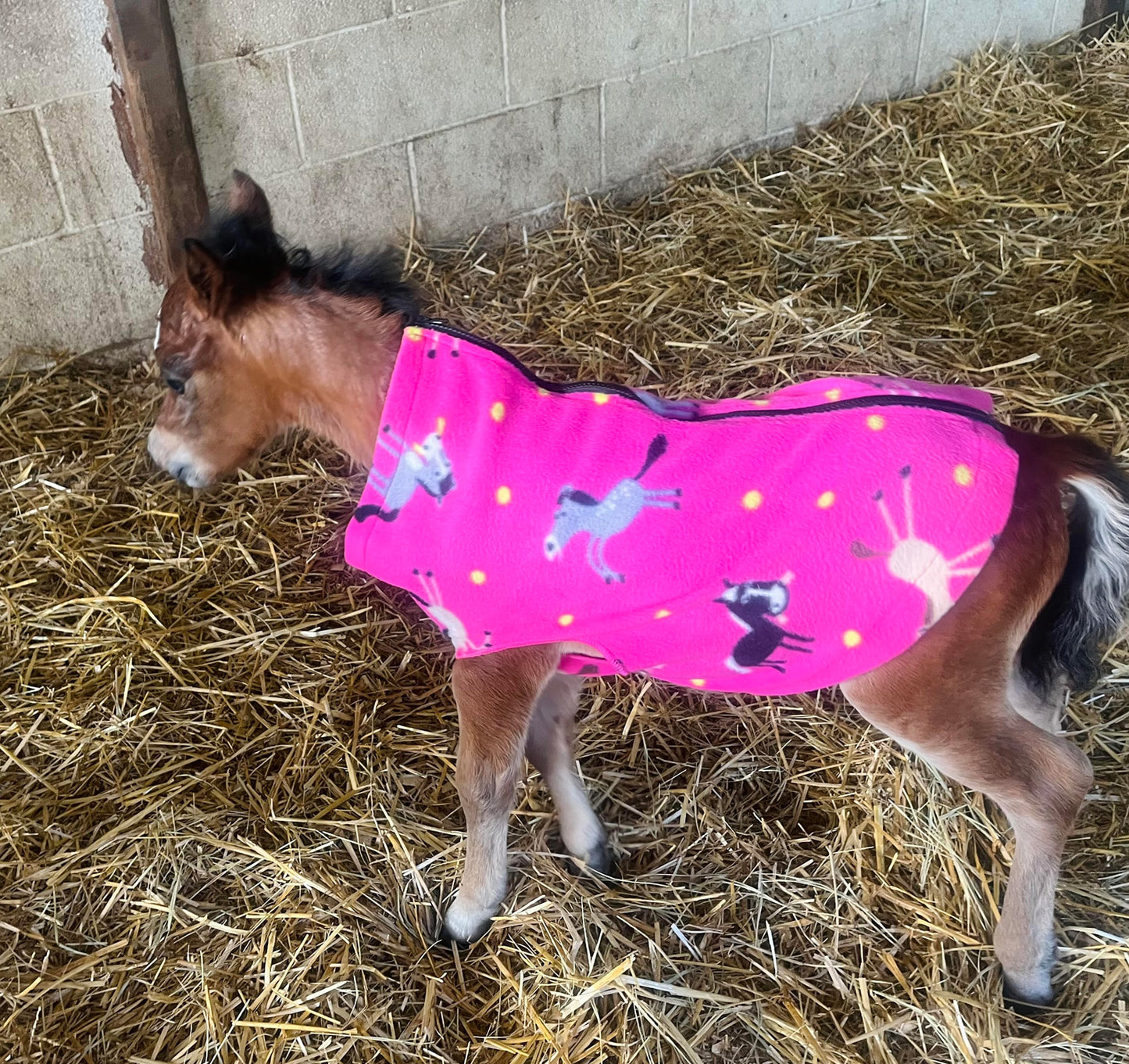 Miniature Foal Print Fleece Jacket