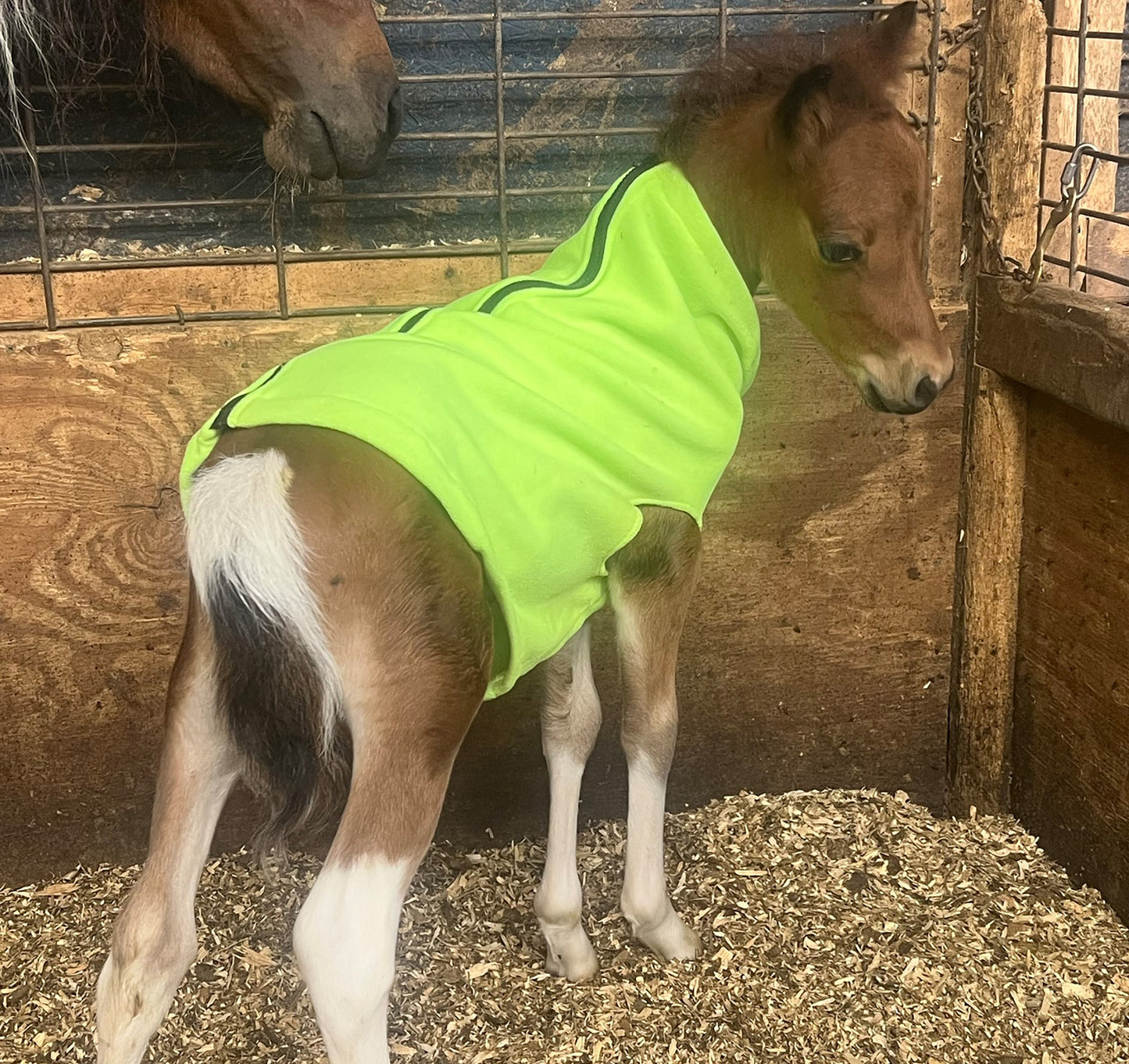 Miniature Foal Solid Fleece Jacket