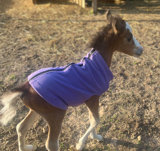 Miniature Foal Solid Fleece Jacket