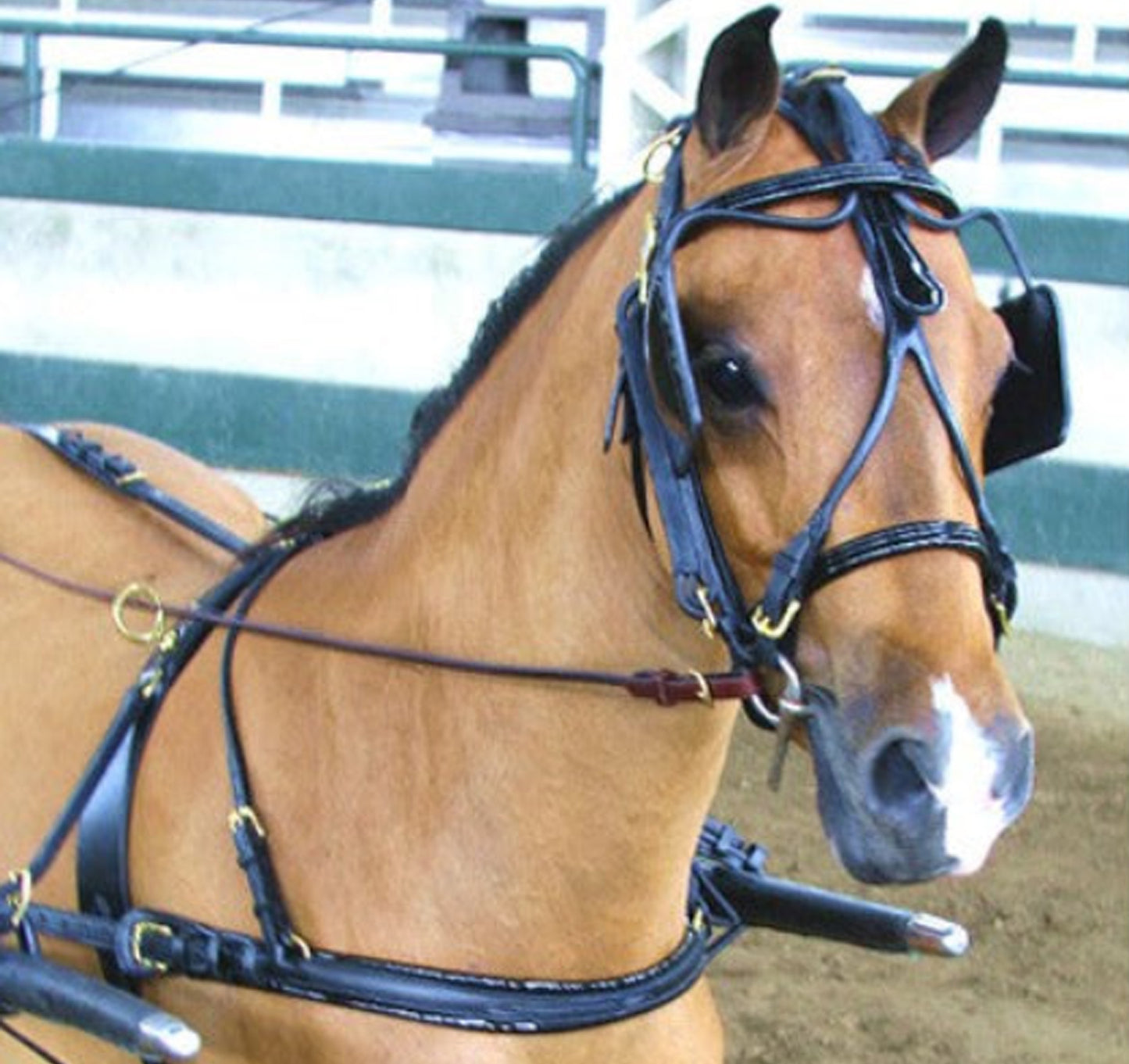 Rolled Leather Fancy Show Harness Miniature and Pony by Mose Miller