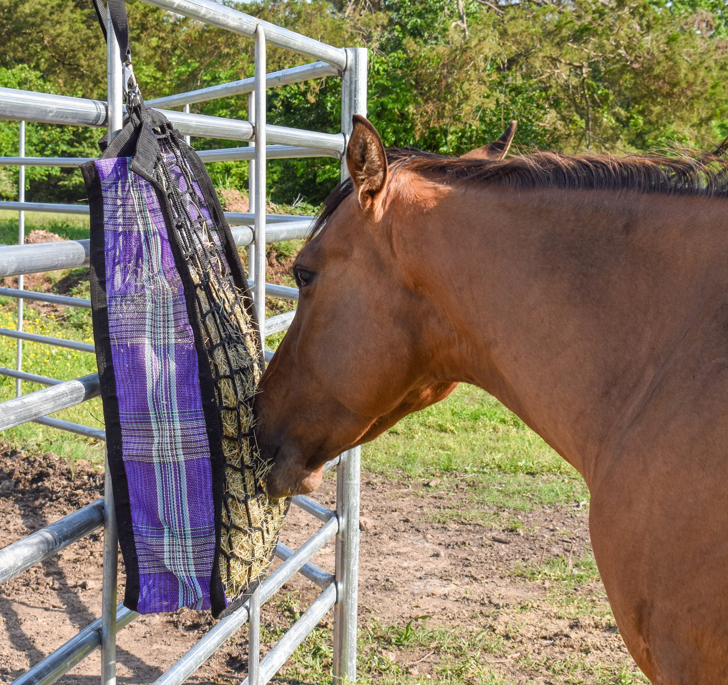 Hay Bags by Kensington