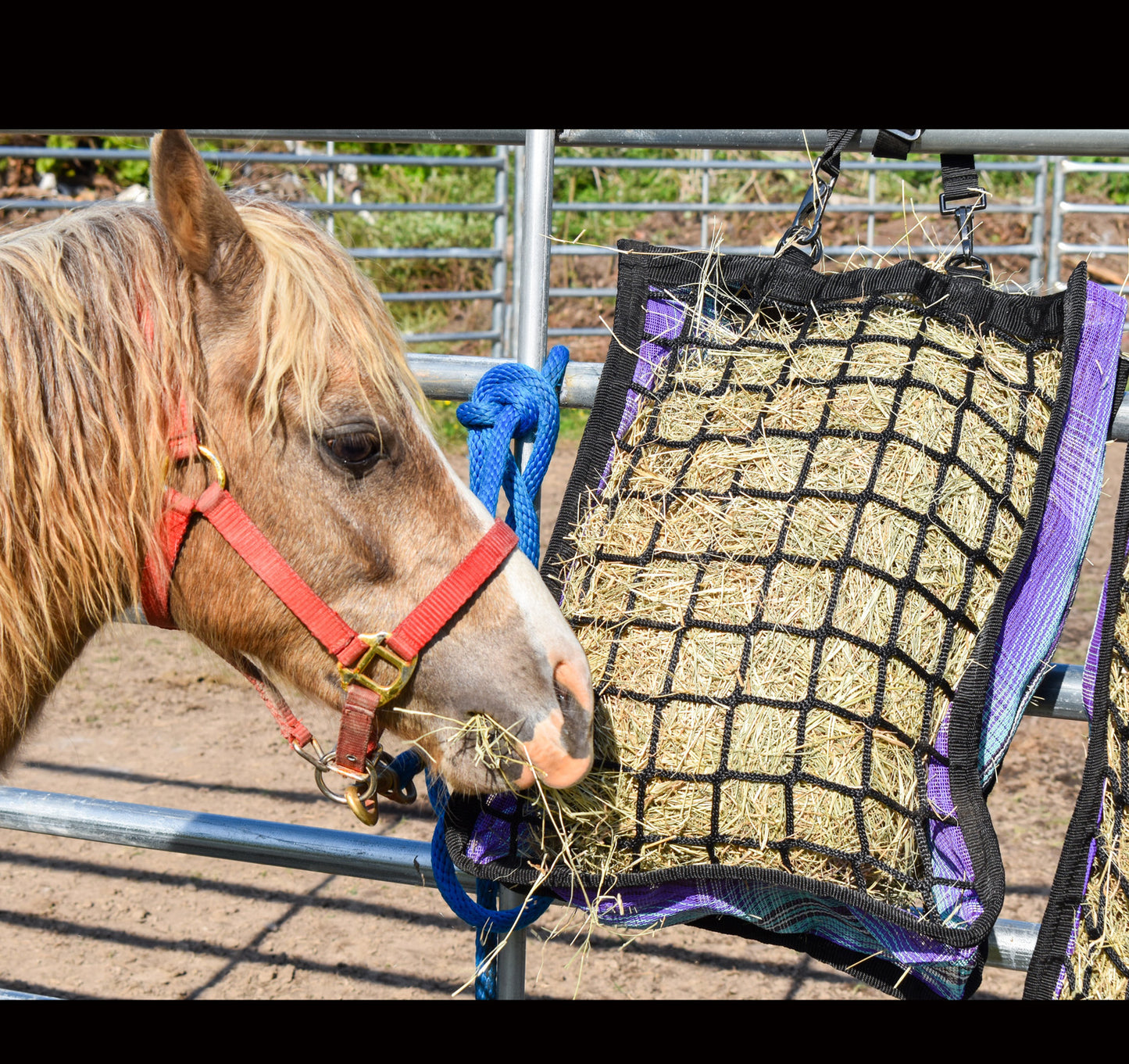 Hay Bags by Kensington