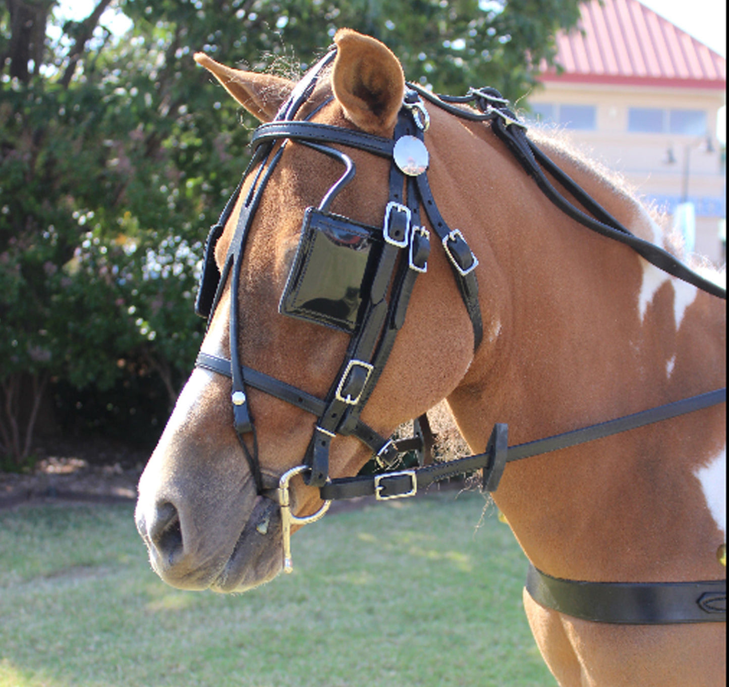 Leather Pleasure Driving Headstall for Minis & Ponies by Mose Miller