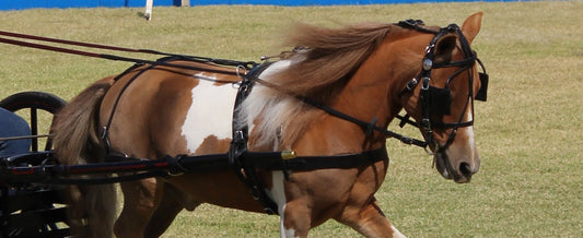 Leather Flat Driving Lines for Minis & Ponies by Mose Miller