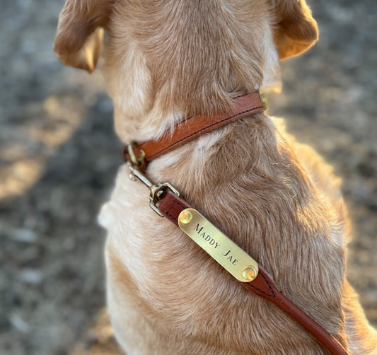 Personalized Amish Made Rolled Leather Dog Leash with One Brass Tag