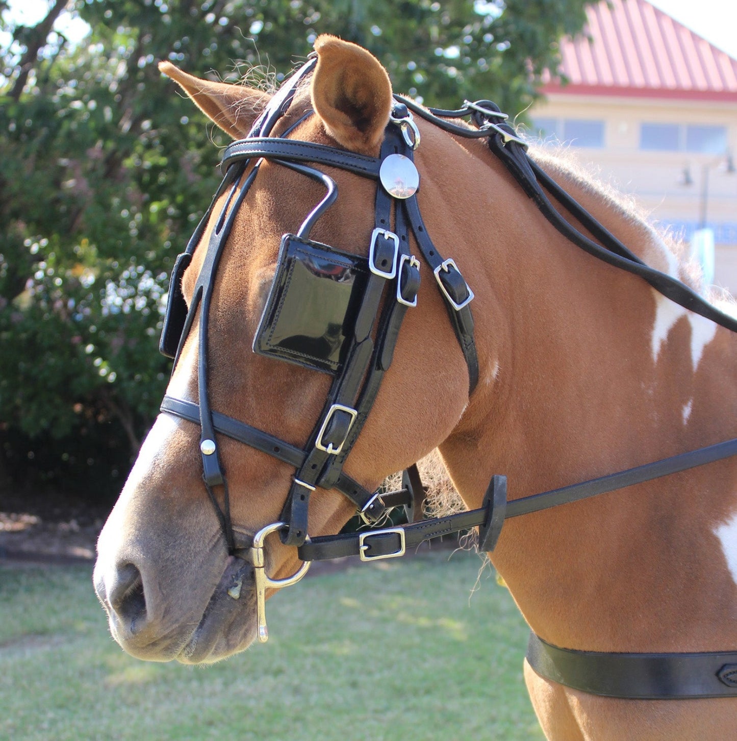 Leather Pleasure Harness for Minis, Ponies and Horses by Mose Miller