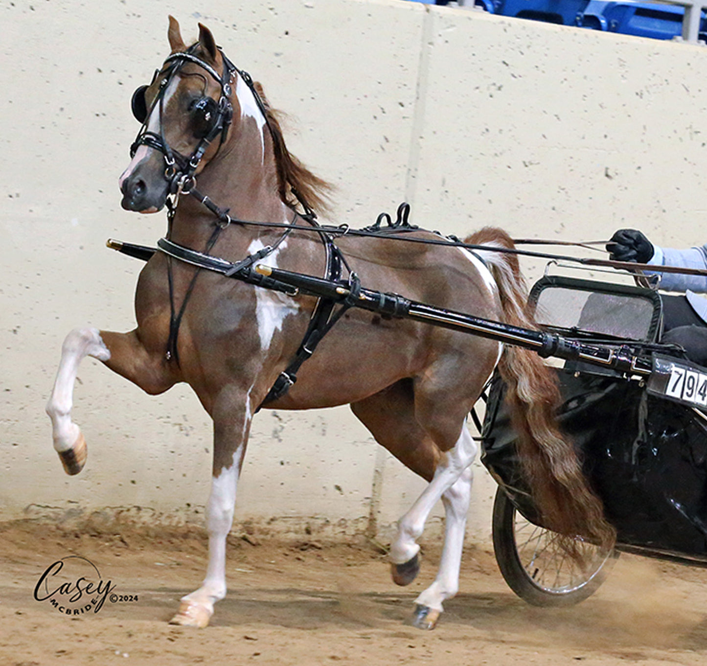 Rolled Leather Fancy Show Harness Miniature and Pony by Mose Miller