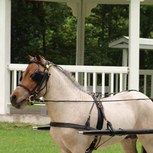 Mose Miller Driving Show Headstall for Minis & Ponies