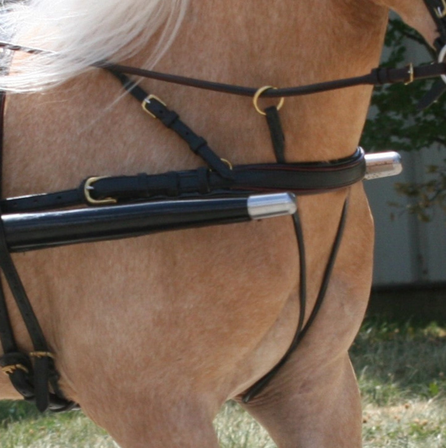 Leather Show Buckle In Breast Collar for Minis & Ponies by Mose Miller