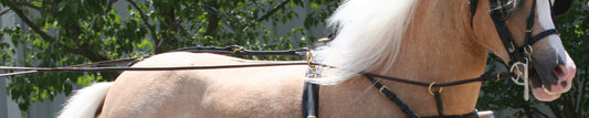 Leather Round Driving Lines for Minis & Ponies by Mose Miller