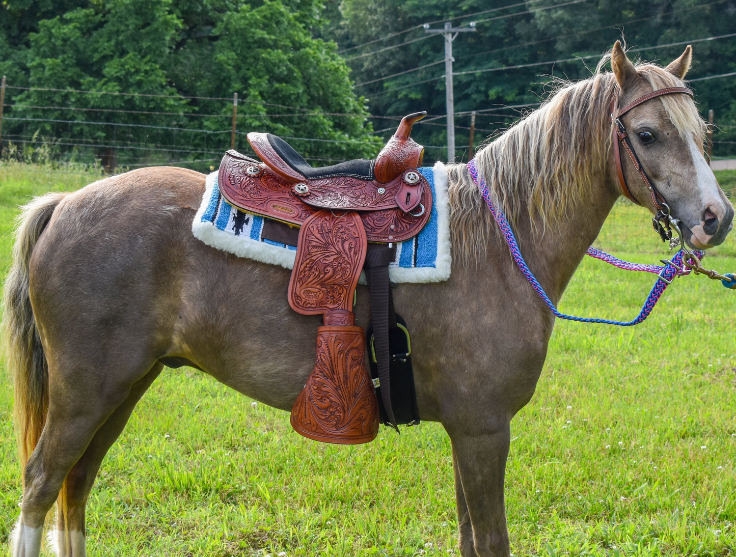 Miniature 10” Tooled Western Saddle