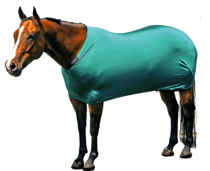 Sleazy Sleepwear Horse Solid Stretch Sheet